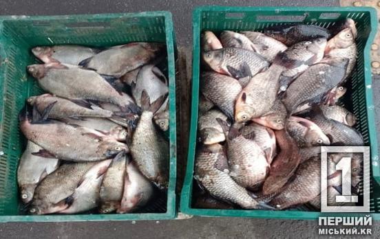 Порушили нерестове табу і попалися на гарячому: на Криворіжжі викрили незаконну торгівлю рибою та раками
