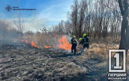 Сезон палаючої природи «розпочато»: минулої доби в області було 57 пожеж