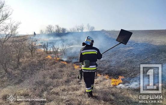 Горіли всі райони: на Дніпропетровщині загасили 69 пожеж