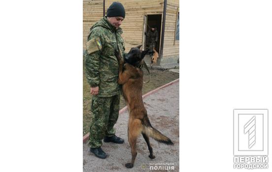 В Кривом Роге полицейский-кинолог в свой выходной задержал местного жителя, который пытался присвоить мобильный телефон