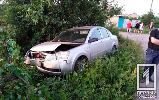 Не заметил: в Кривом Роге водитель иномарки вылетел на обочину