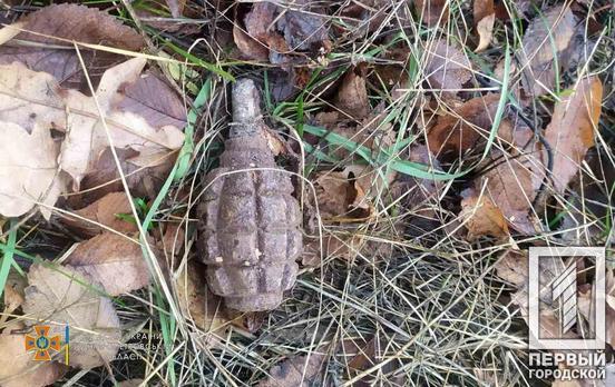 Не звичайний гриб: неподалік Кривого Рогу в лісосмузі знайшли застарілу гранату