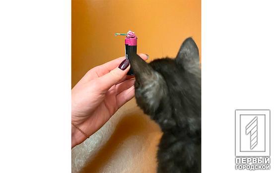 На сайте Президента Украины появилась петиция о запрете использования пиротехники