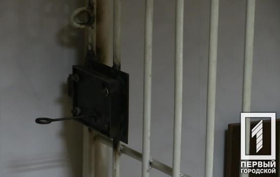 В Кривом Роге осудили 17-летнего парня за разбойное нападение