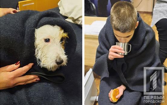 В Кривом Роге 14-летний мальчик спас из реки пса, который провалился под лёд