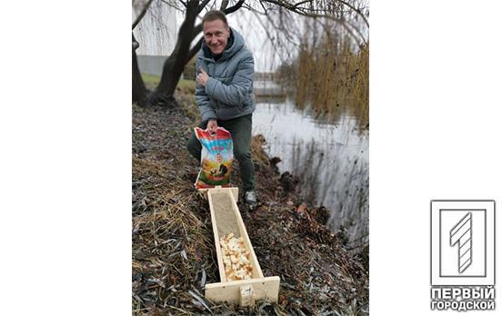 Жители Кривого Рога установили кормушку для диких уток