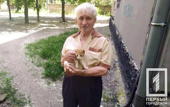 Спасатели Кривого Рога помогли котёнку спуститься с дерева