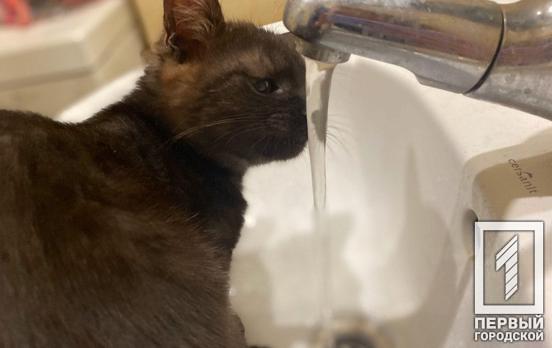 Сделайте запас: в Кривом Роге на время ремонта трубопроводов отключат воду, - адреса