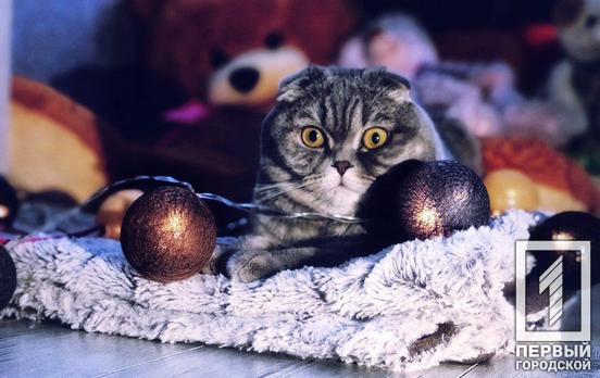 Подборка крутых идей как интересно встретить Новый 2020 год