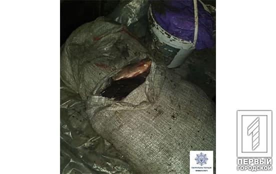 Нарушил правила дорожного движения: полицейские Кривого Рога остановили «ВАЗ», в багажнике которого обнаружили подозрительный улов