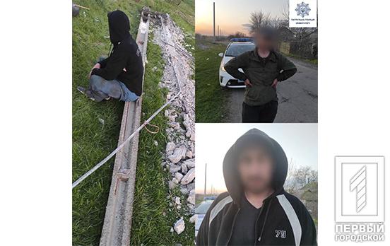 В Кривом Роге патрульные задержали местных жителей, которые пытались разрушить столбы электропередач ради металлических элементов