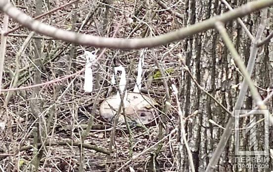 В одном из районов Кривого Рога обнаружили боеприпасы