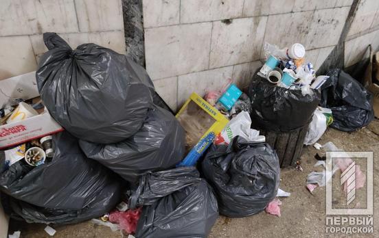 В подземном переходе Кривого Рога горожане заметили кучи неубранного мусора, – фотофакт