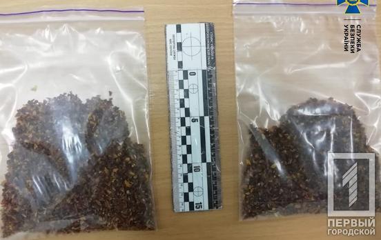 Заказывал наркотики из Азии: СБУ задержала в Кривом Роге контрабандиста