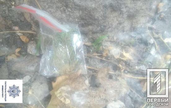 19 пакетиков «травки»: за сутки патрульные Кривого Рога задержали троих горожан с наркотиками