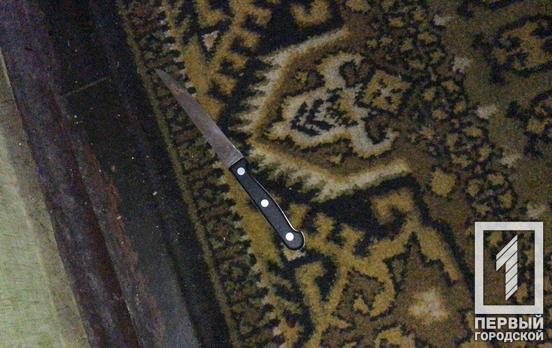 Семейный конфликт: в Кривом Роге отчим ударил пасынка ножом в шею