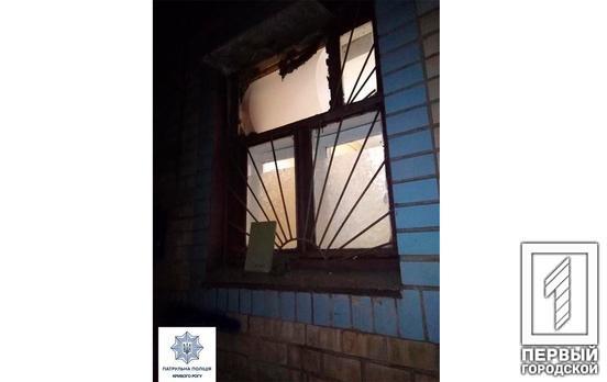 Полицейские Кривого Рога задержали любителей чужого имущества