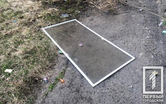 Жизни ребёнка, который выпал из окна в Кривом Роге, ничего не угрожает, - врачи