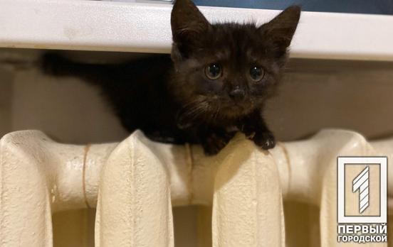 На 20% меньше: в Кривом Роге снизятся тарифы на отопление