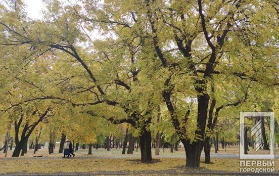 У Кривому Розі з’явиться ще один парк, – рішення міської ради