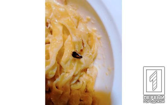 Паста с сюрпризом: в одной из пиццерий Кривого Рога в блюде нашли таракана, - соцсети