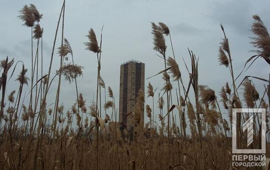 20 марта в Кривом Роге ожидается облачная погода