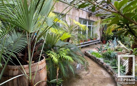 22 мая в Кривом Роге похолодает и будет облачно