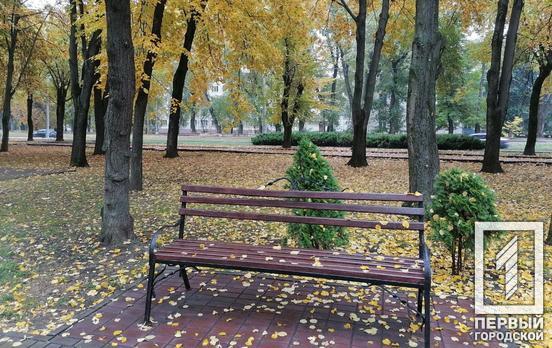 19 жовтня у Кривому Розі прогнозують дощ