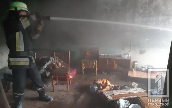 В Кривом Роге сгорела заброшенная постройка, погиб человек