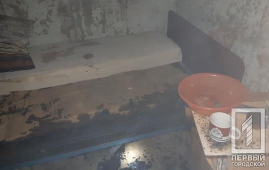 В Кривом Роге ночью пожарные спасли жизнь 79-летнего горожанина