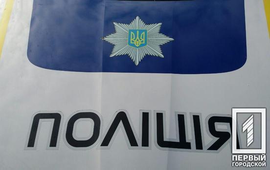 В Никополе полиция оштрафует женщину, которая распространяла фейки о запрете прогулок с детьми во время карантина