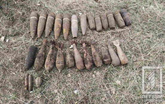 Поисковики Кривого Рога обнаружили более 20 боеприпасов времён Второй мировой