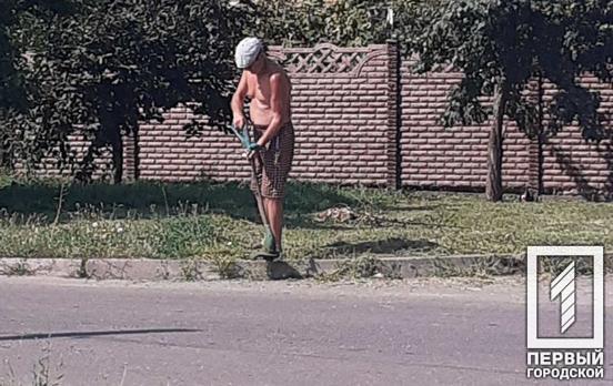 300 попереджень: в Кривому Розі провели рейд по боротьбі із рослинами-алергенами