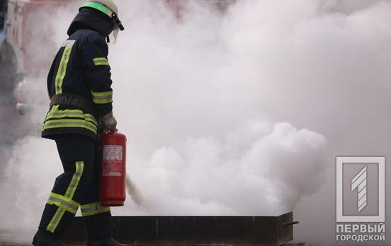 Под Кривым Рогом во время пожара сгорело три тонны сена