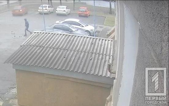 В сети появилось видео поджога автомобиля депутата горсовета Кривого Рога Антона Петрухина