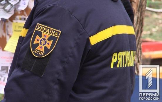 В Кривом Роге сняли кота, который застрял на дереве