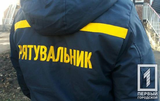 Спасатели Кривого Рога помогли двум собакам выбраться из глубокой ямы