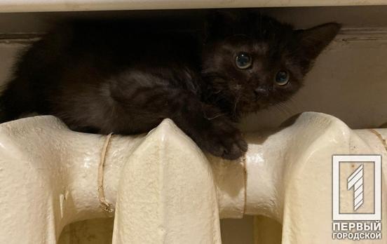 В Кривом Роге, несмотря на погоду, отопительный сезон прекращать пока не собираются