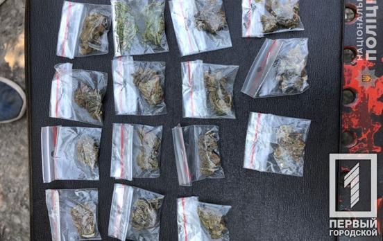 15 пакетиков «травки»: в Кривом Роге возле школы задержали 19-летнего парня