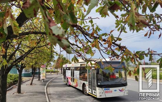 Каждые 12 минут: в Кривом Роге изменилось расписание троллейбуса №20