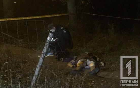 В Кривом Роге будут судить психически нездорового мужчину, который убил двух пенсионерок