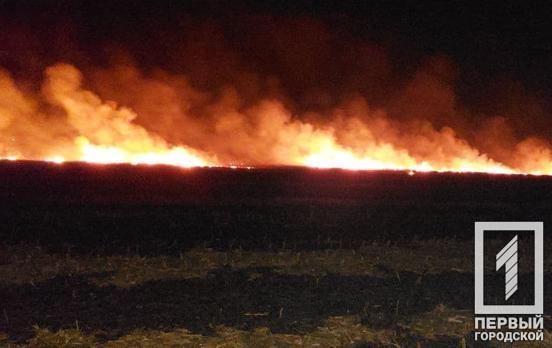Під Кривим Рогом згоріли чотири гектари поля