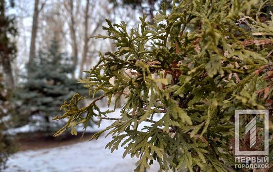 3 лютого у Кривому Розі очікується похмура погода, без опадів