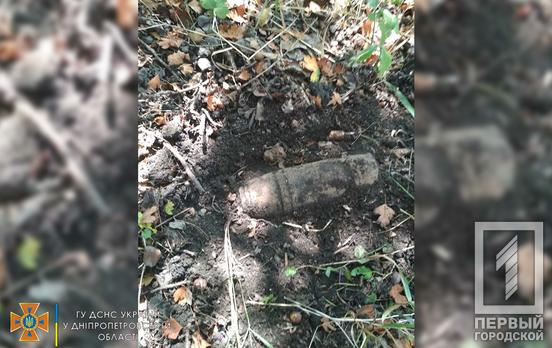 Неподалік від Кривого Рогу члени історико-пошукової організації відкопали артснаряд