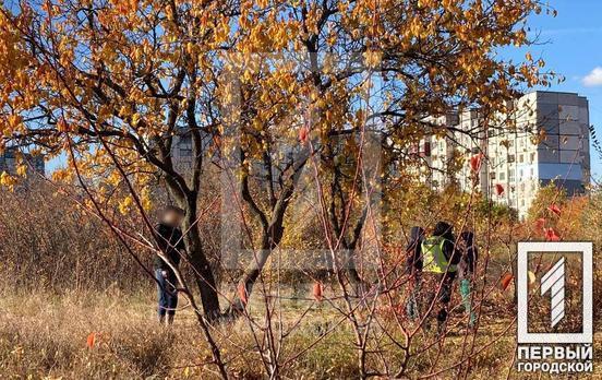 В одному з мікрорайонів Кривого Рогу на дереві знайшли повішеним чоловіка (ОНОВЛЕНО)