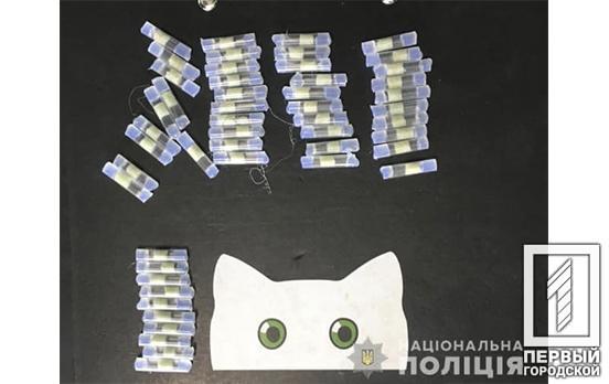 Полицейские Кривого Рога задержали в подъезде мужчину с метамфетамином