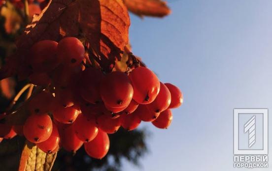 24 ноября в Кривом Роге пройдет «слепой» дождь