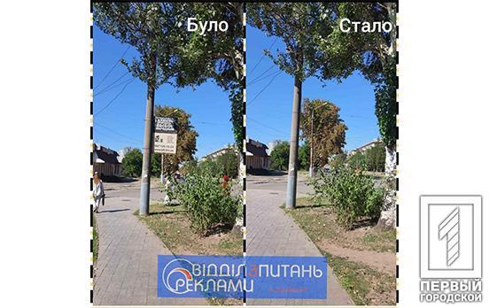 На електроопорах та деревах: у Кривому Розі продовжують демонтувати незаконну рекламу