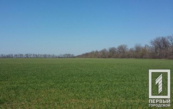 На Днепропетровщине была спокойная ночь, в результате ракетного удара по предприятию в Кривом Роге никто не пострадал