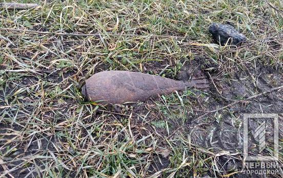 Недалеко от Кривого Рога автомобилист нашёл «трофей» времён Второй мировой